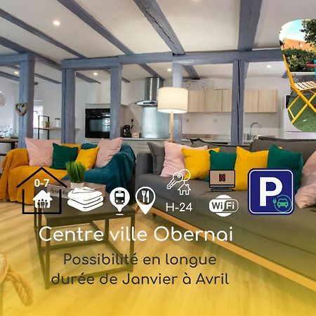 Le Nid Cosy D'Obernai /2Min Centre Ville/Parking Екстер'єр фото