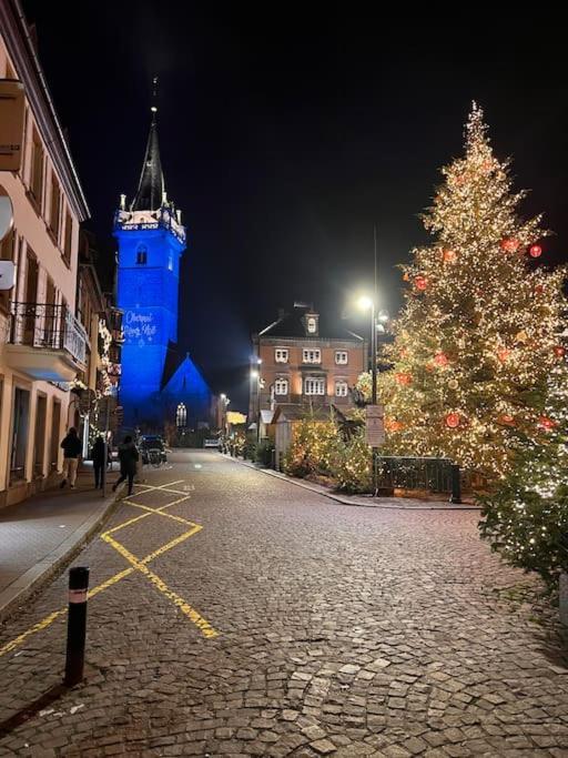 Le Nid Cosy D'Obernai /2Min Centre Ville/Parking Екстер'єр фото