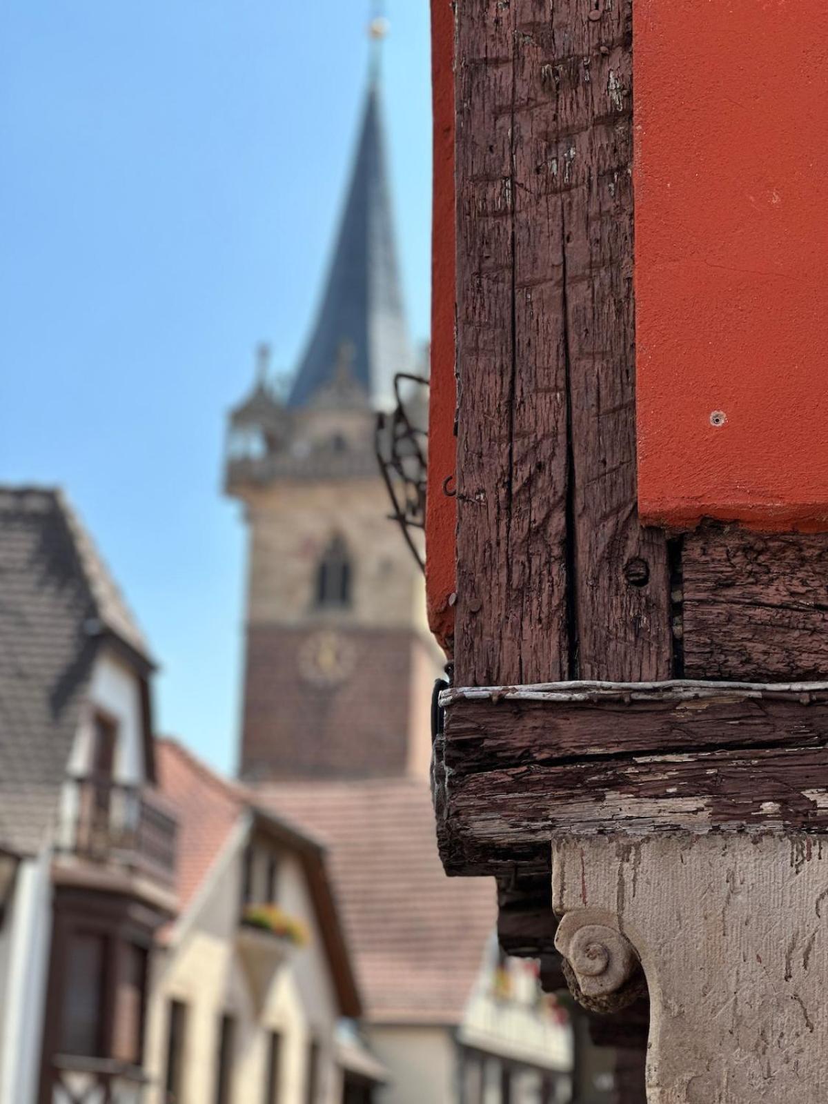 Le Nid Cosy D'Obernai /2Min Centre Ville/Parking Екстер'єр фото