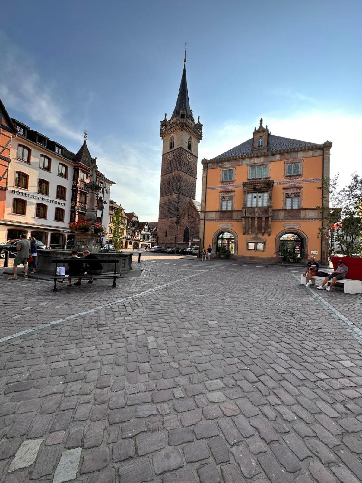 Le Nid Cosy D'Obernai /2Min Centre Ville/Parking Екстер'єр фото