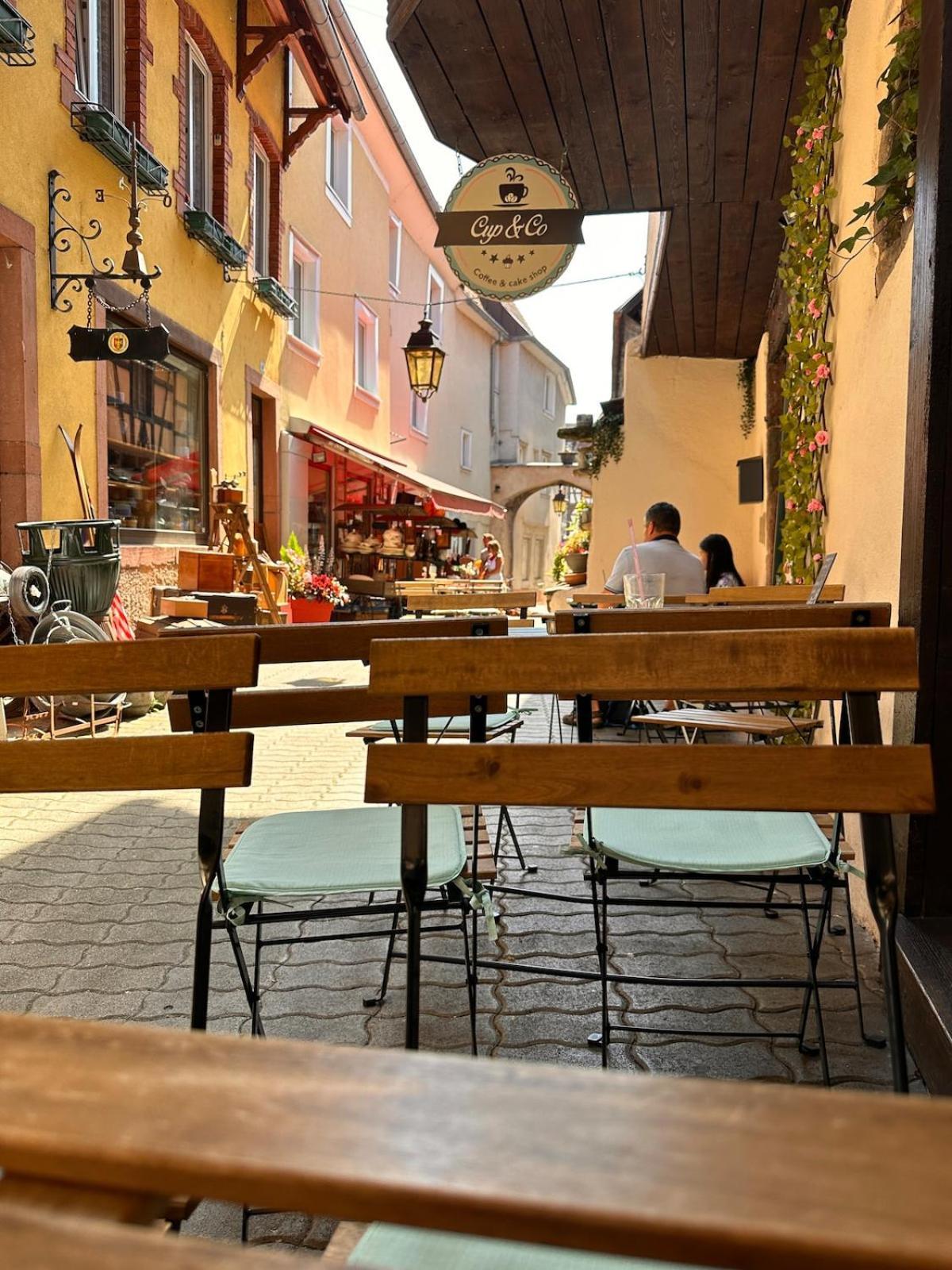 Le Nid Cosy D'Obernai /2Min Centre Ville/Parking Екстер'єр фото