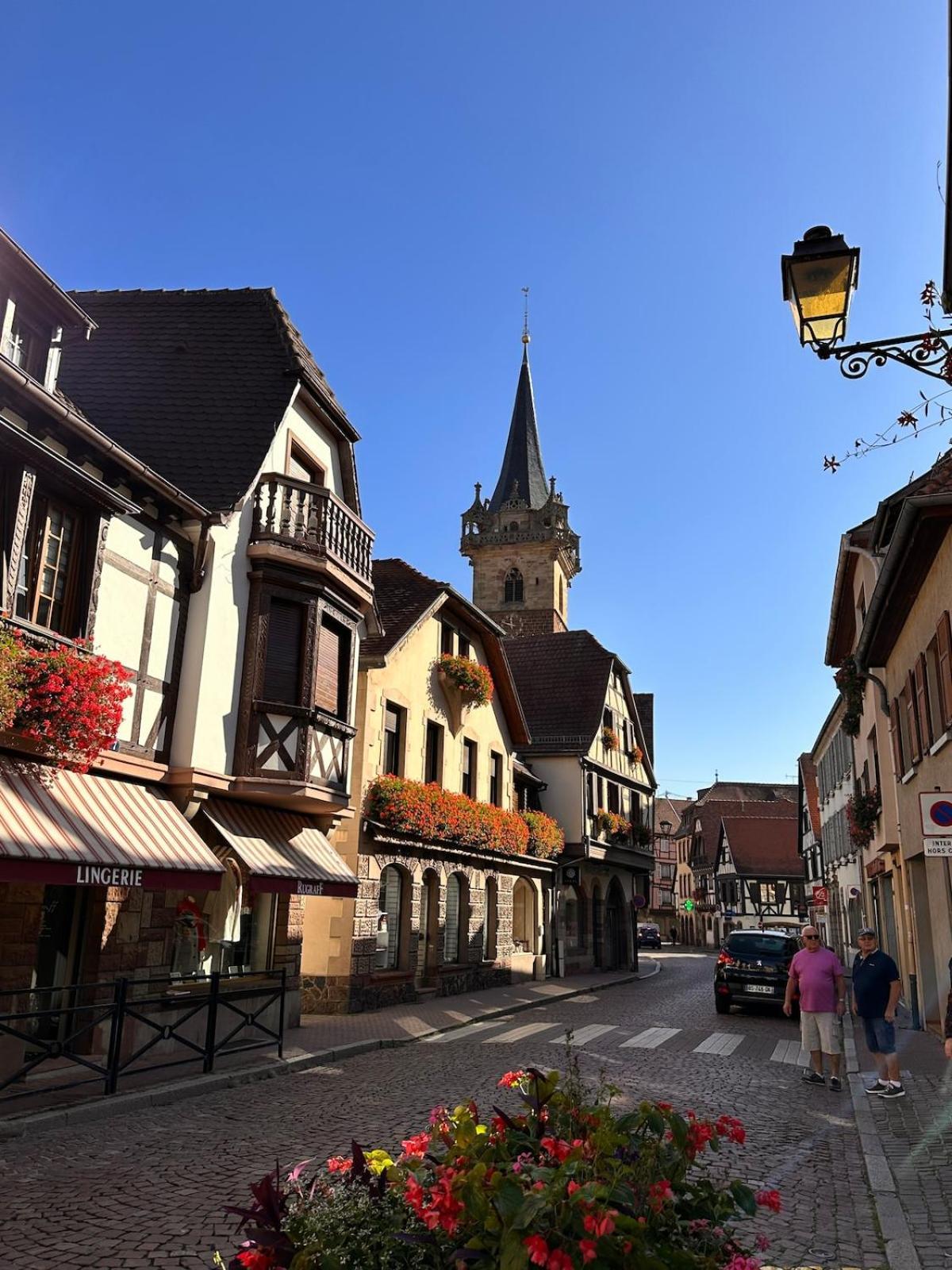 Le Nid Cosy D'Obernai /2Min Centre Ville/Parking Екстер'єр фото