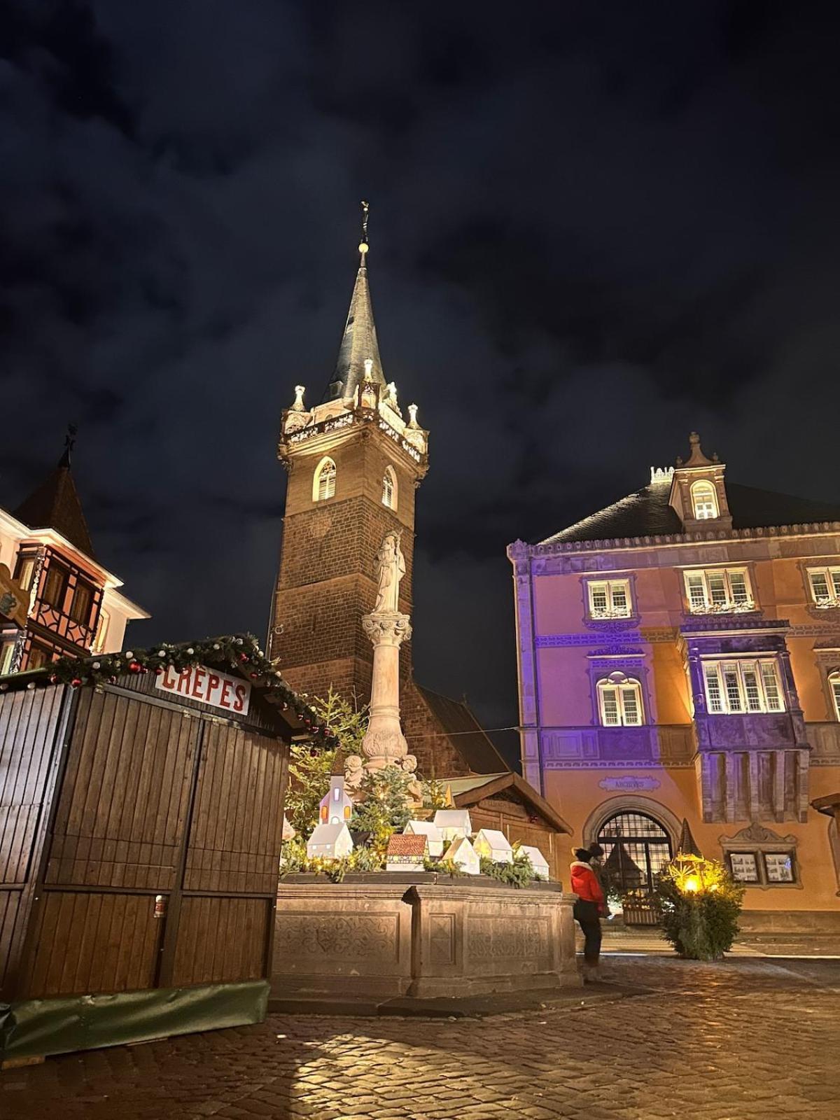 Le Nid Cosy D'Obernai /2Min Centre Ville/Parking Екстер'єр фото
